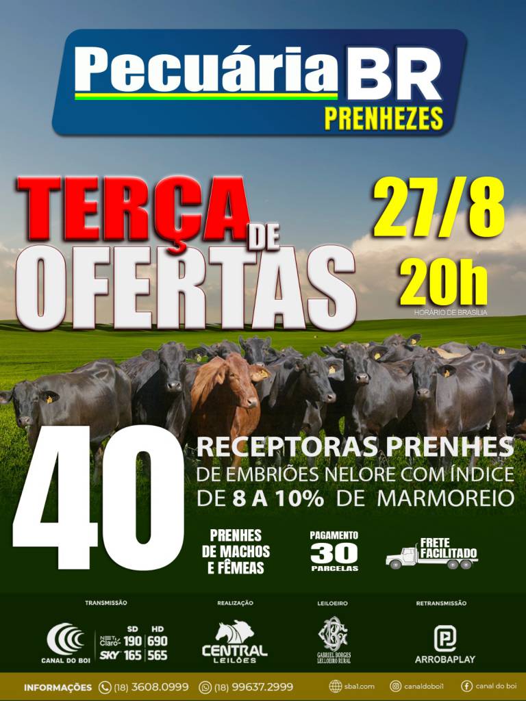 De Olho Na Fazenda Pecuária BR - Prenhezes hoje às 20h no Canal do Boi