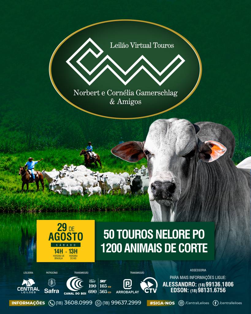 LEILÃO VIRTUAL TOUROS MARCA CW & AMIGOS