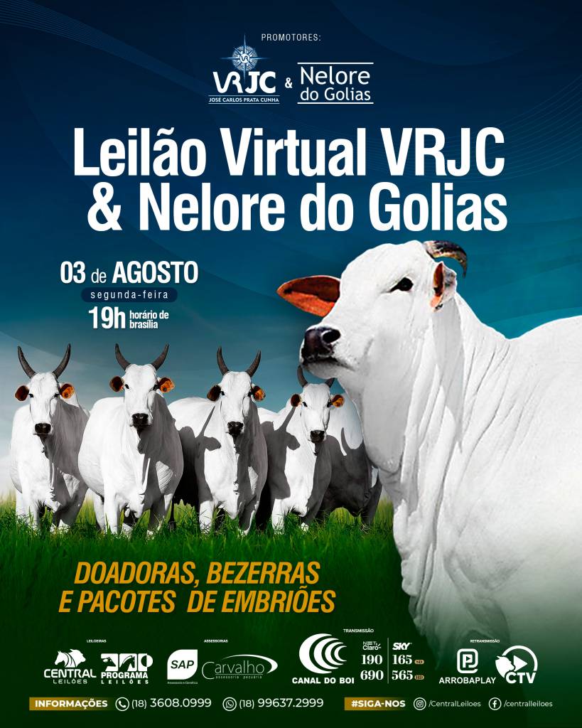 LEILÃO VIRTUAL VRJC & NELORE DO GOLIAS