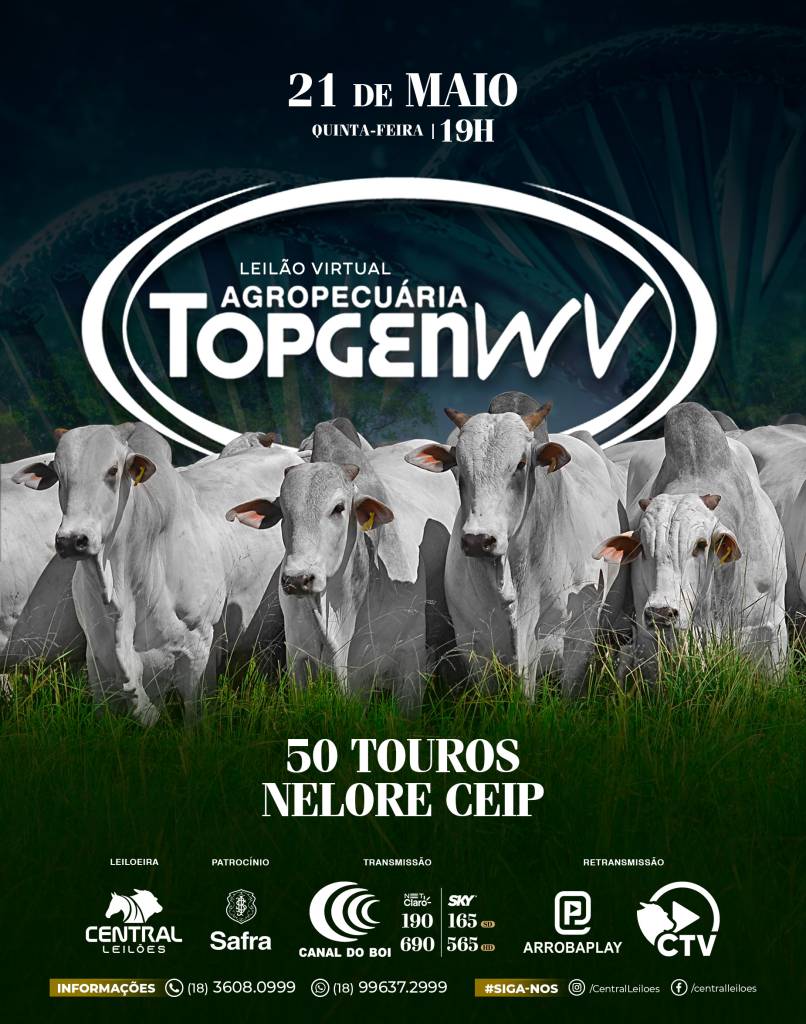 Leilão Virtual Agropecuária TOP Gen WV oferta touros nelore hoje no Canal do Boi