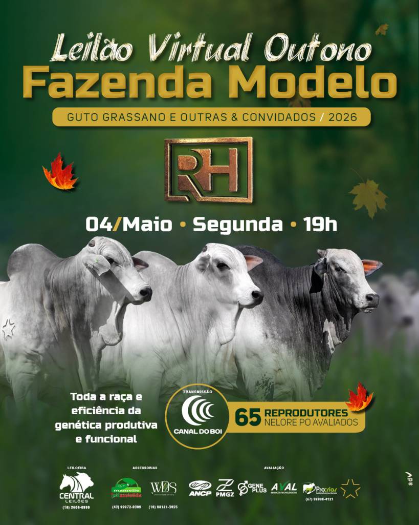 Leilão Virtual Outono Fazenda Modelo nesta segunda-feira no Canal do Boi
