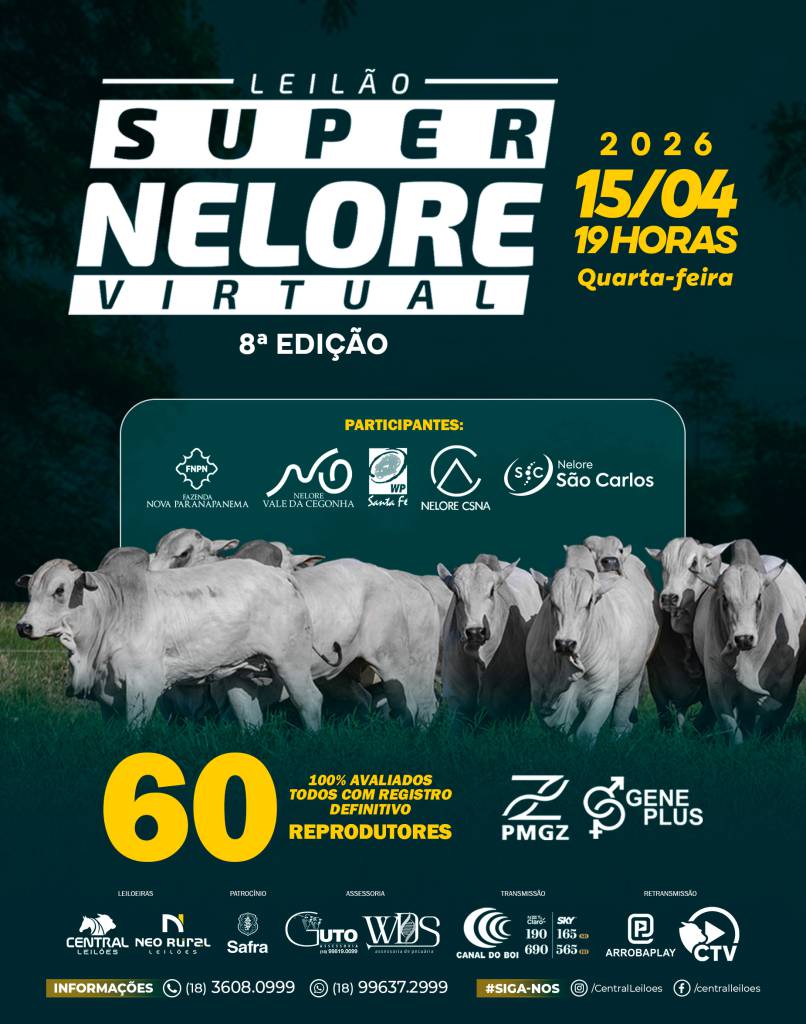 Leilão Super Nelore oferta reprodutores nesta quarta-feira no Canal do Boi