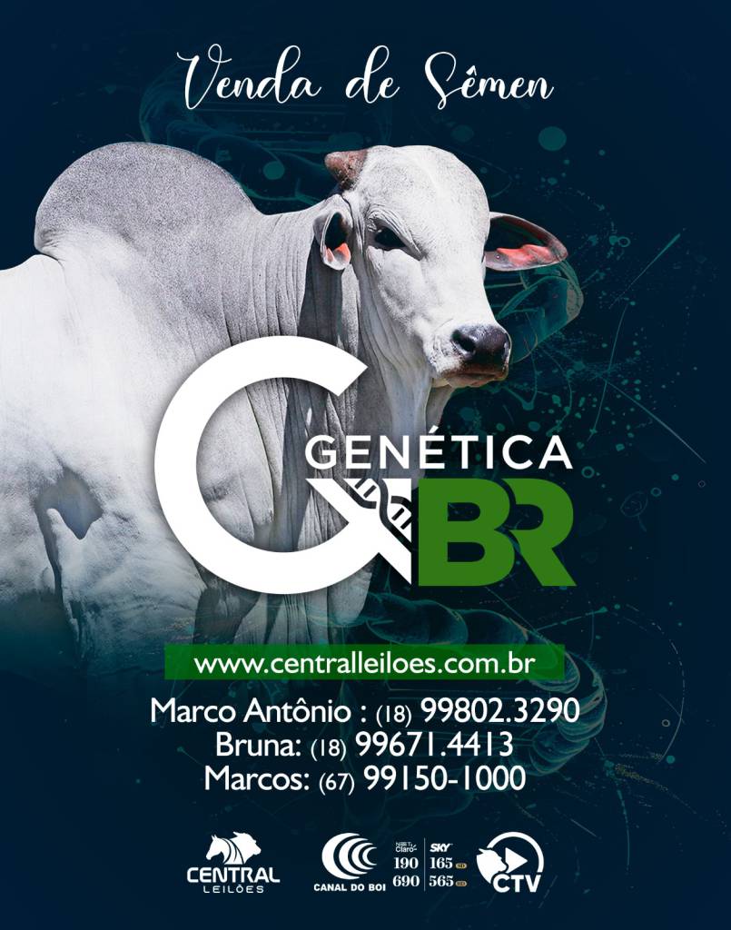 Canal do Boi transmite hoje às 20h venda especial de sêmen do Genética BR