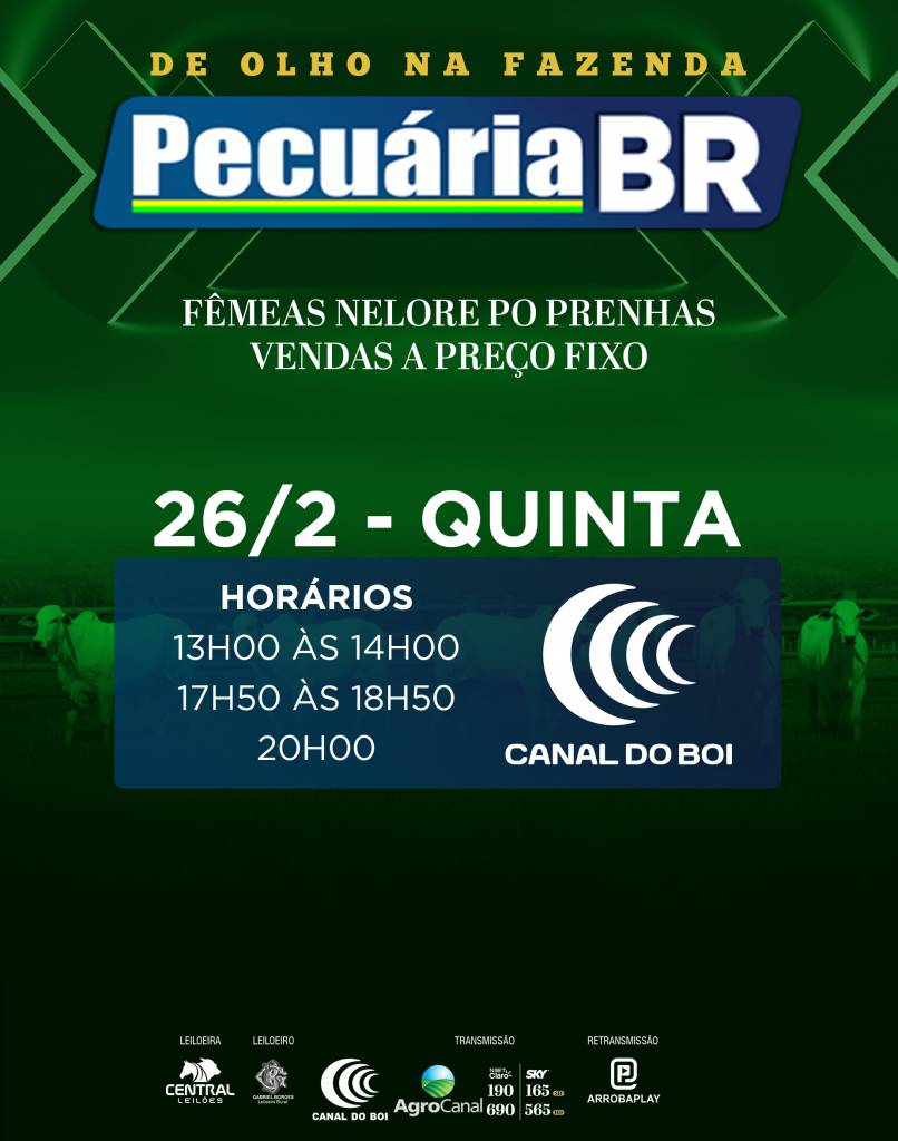 De Olho na Fazenda Pecuária BR oferta fêmeas nelore PO selecionadas no Canal do Boi