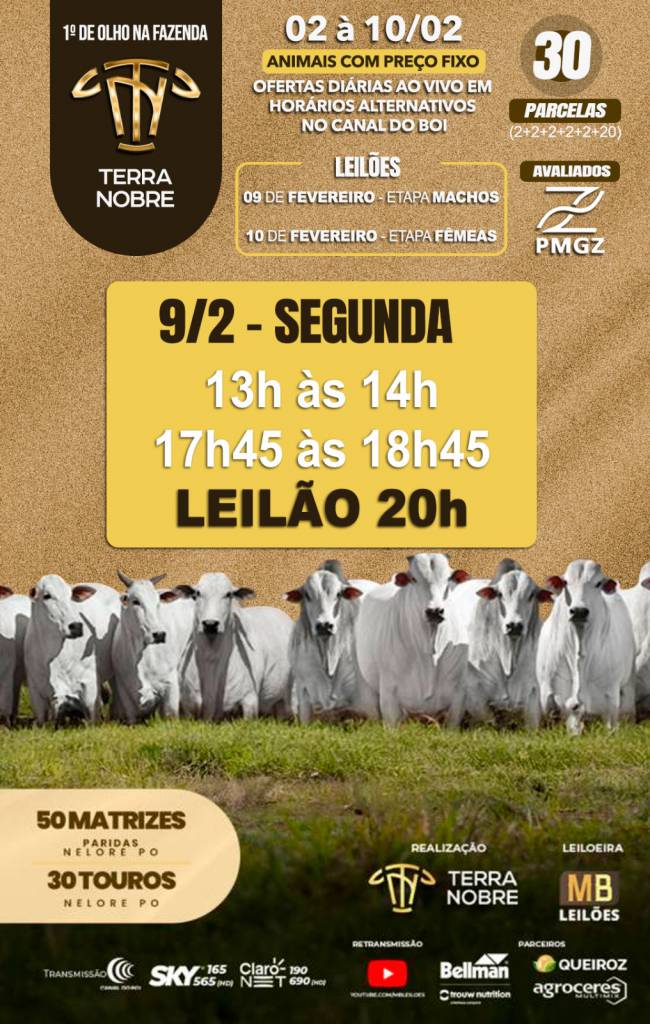 MB Leilões realiza o fechamento da etapa de machos do 1º De Olho na Fazenda Terra Nobre hoje às 20h no Canal do Boi