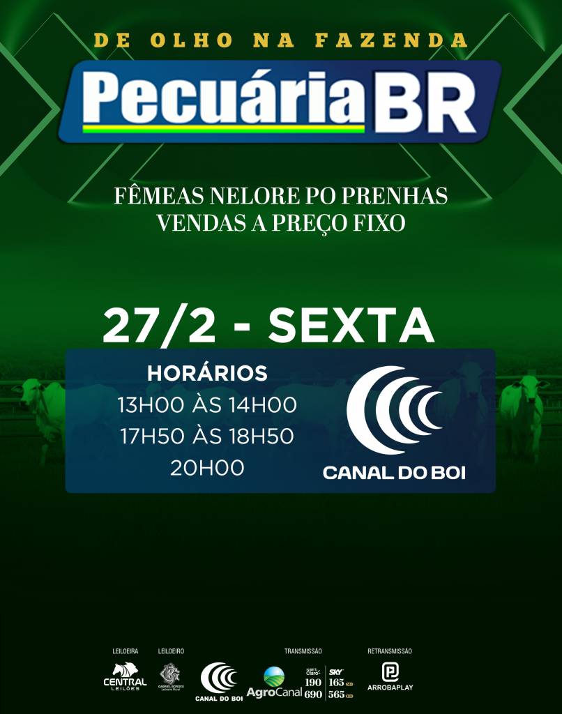 Pecuária BR vende a preço fixo fêmeas nelore PO selecionadas no Canal do Boi