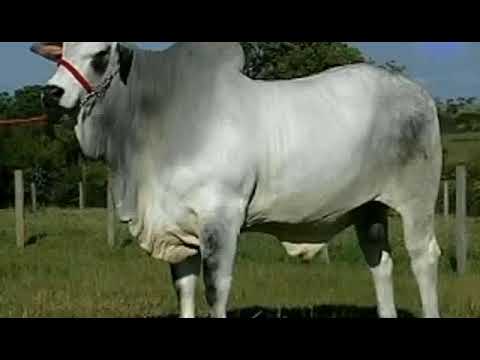 204 - HOCK TE BM DA FC