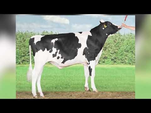 618 - DELTA ASSIST