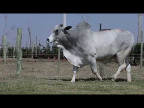 709 - URANO 119 DA BEABISA