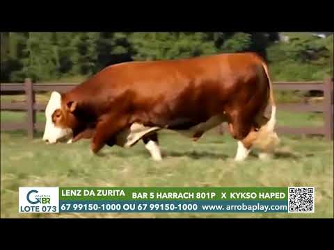 073 - LENZ DA ZURITA