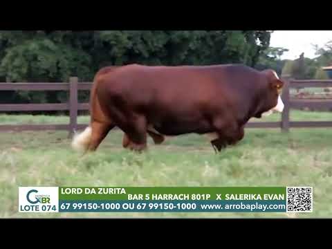 074 - LORD DA ZURITA