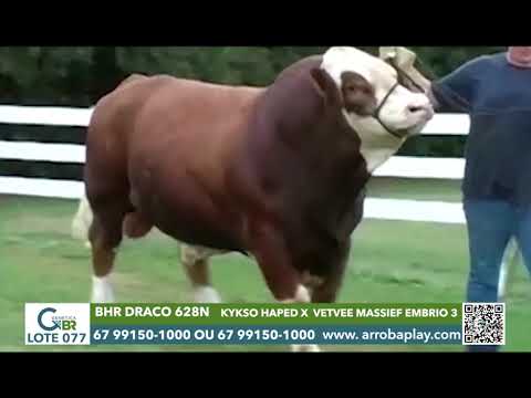077 - BHR DRACO 628N