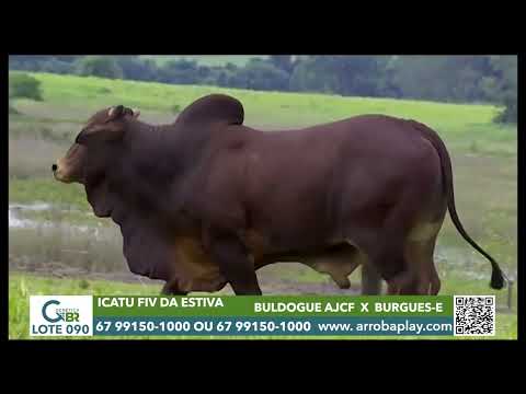 090 - ICATU FIV DA ESTIVA