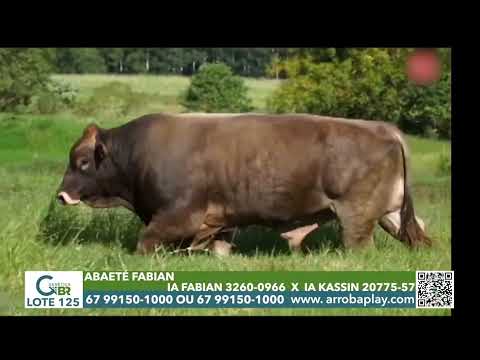 125 - ABAETÉ FABIAN
