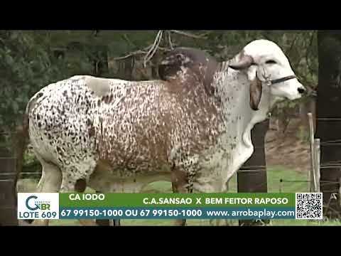 609 - CA IODO