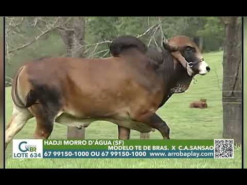 634 - HADJI MORRO D'ÁGUA (SF)