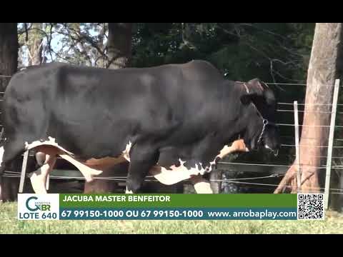 640 - JACUBA MASTER BENFEITOR