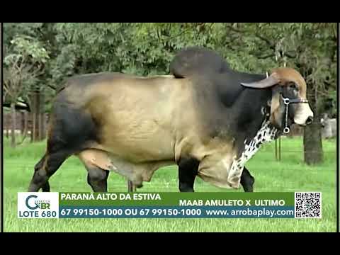 680 - PARANÃ ALTO DA ESTIVA