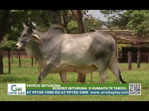 682 - PATRUS IBITURUNA
