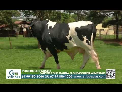 692 - PODEROSO FAUSTO OG
