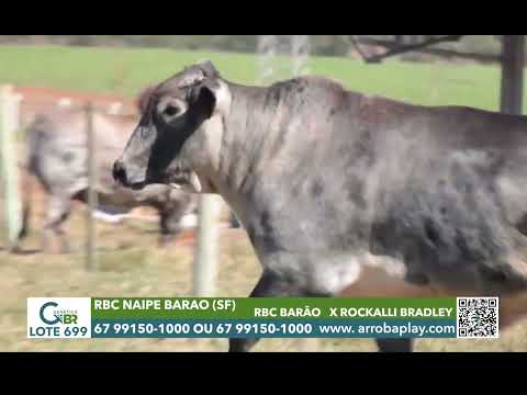 699 - RBC NAIPE BARAO (SF)