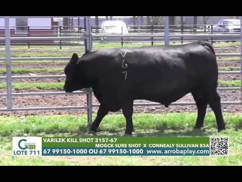 711 - VARILEK KILL SHOT 3157-67