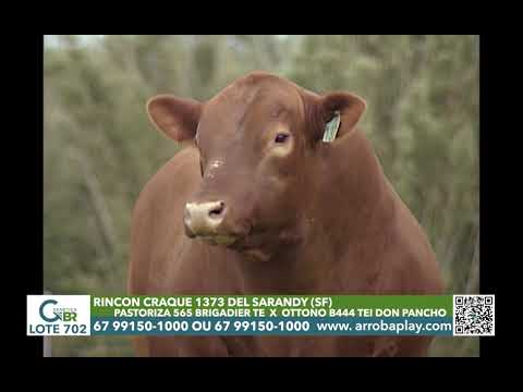 702 - RINCON CRAQUE 1373 DEL SARANDY (SF)