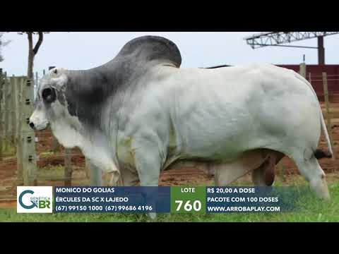 760 - MÔNICO DO GOLIAS