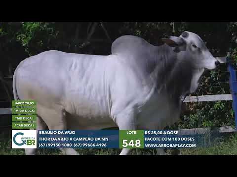 548 - BRAULIO DA VRJO