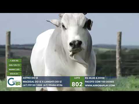 802 - ASTRO DO IZ